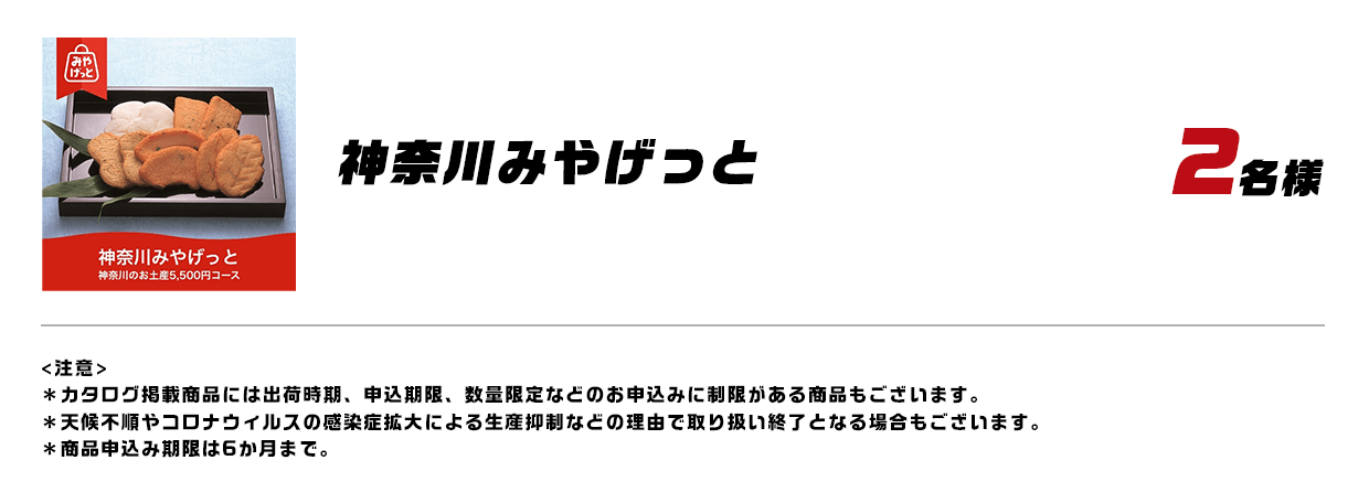 神奈川みやげっと 2名様